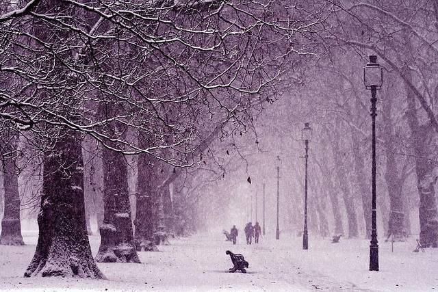 11 15 Superb Season Photos