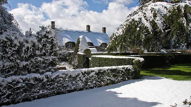 13 15 Superb Season Photos