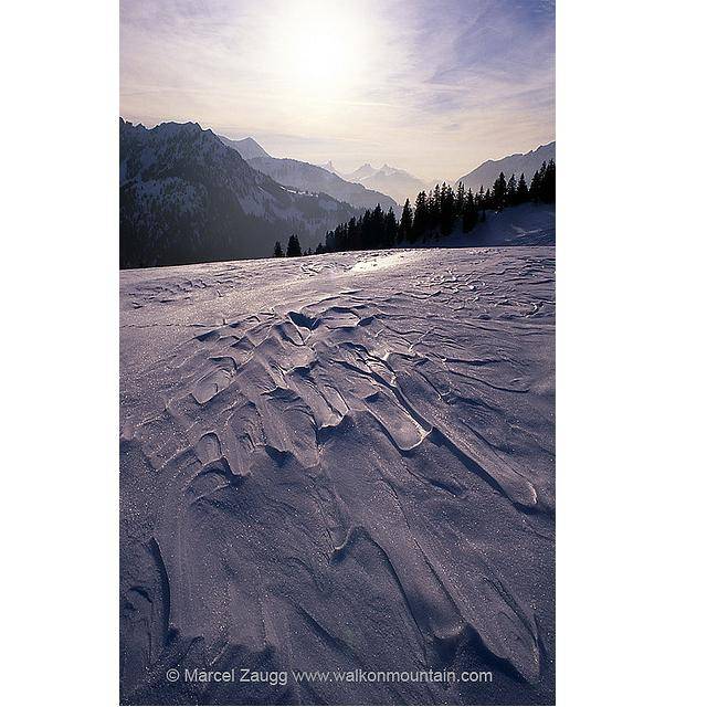 15 15 Superb Season Photos