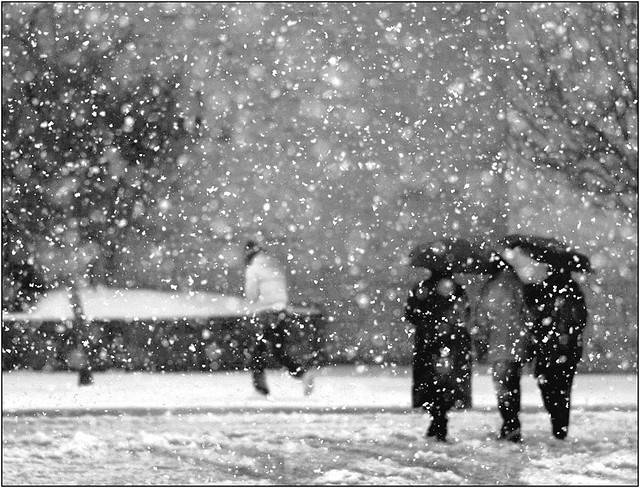 2 15 Superb Season Photos