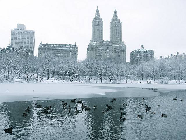 3 15 Superb Season Photos