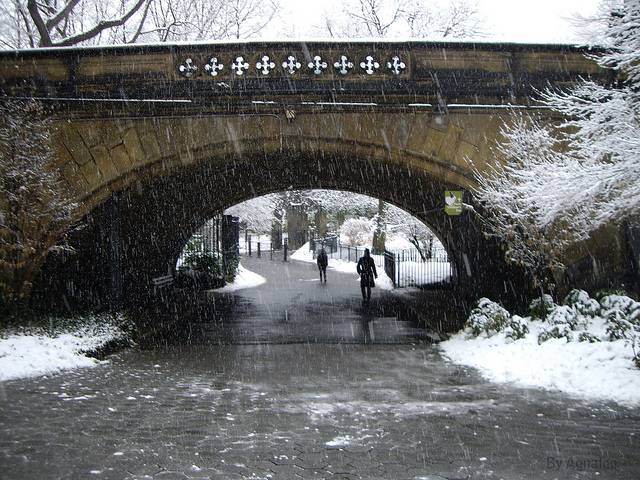 4 15 Superb Season Photos