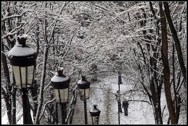 6 15 Superb Season Photos