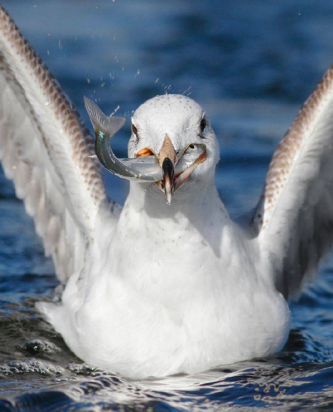 26 Beautiful Photos That You Should See