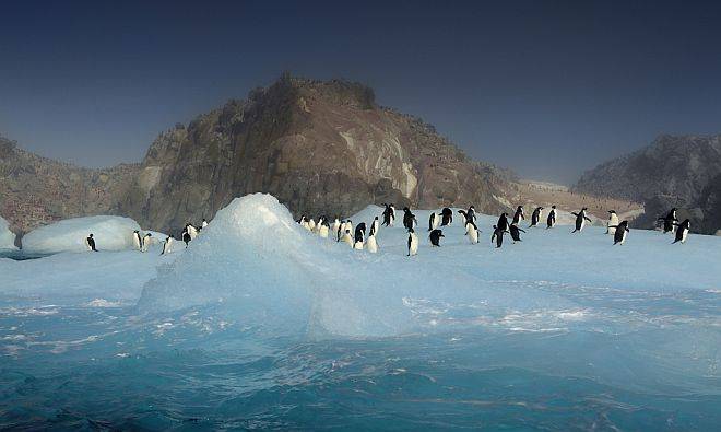 23 Lovely Photos That You Shouldn&#8217;t Miss