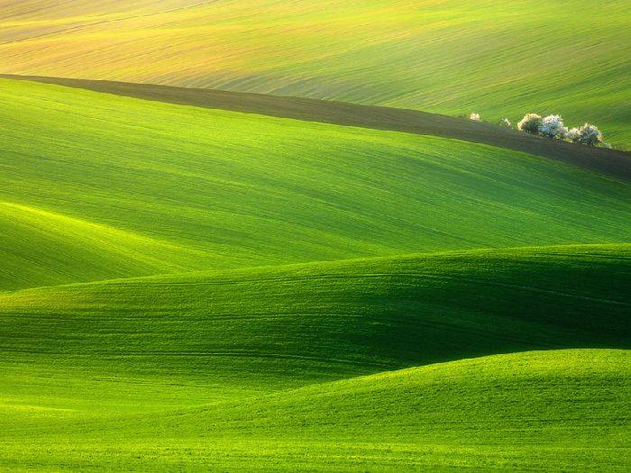 26 Beautiful Photos That You Should See