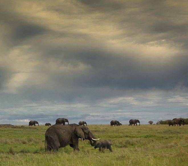 26 Beautiful Photos That You Should See