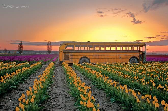 5 25 Superb Photos That You Shouldn’t Miss