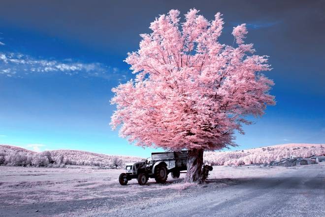21 Beautiful Photos