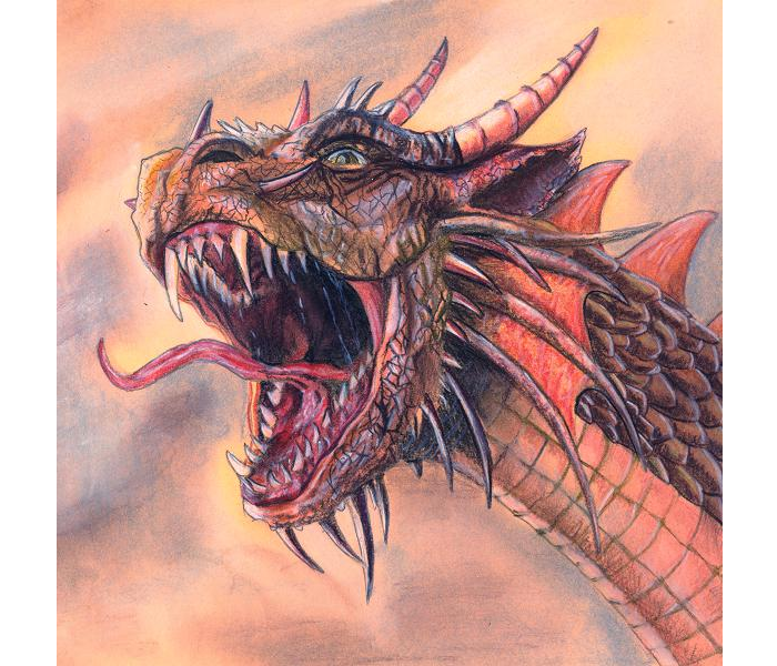 Probably the Best 20 Dragon Illustrations Available Online