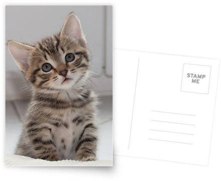 20 Extremely Cute Postcards