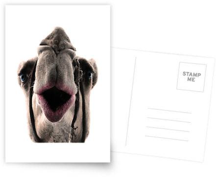 25 Funny Postcards That Will Make You Smile