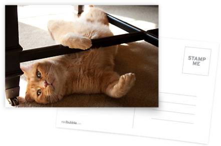 20 Extremely Cute Postcards