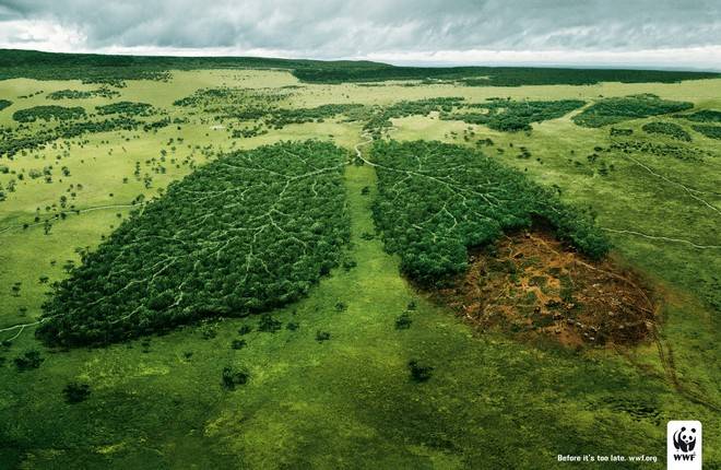 25 Must See Awareness Campaign Ads